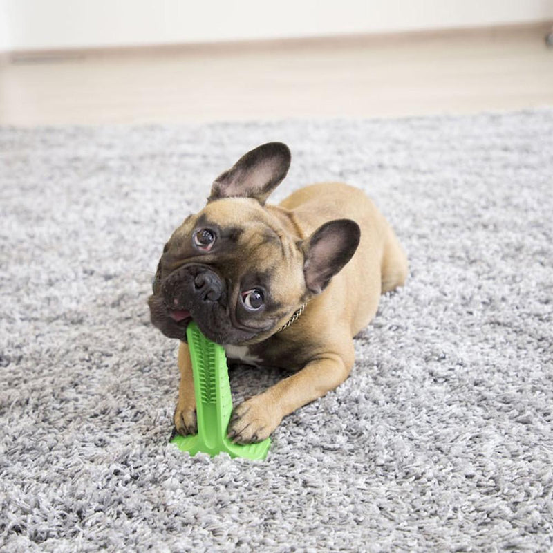 Escova para Cachorros PetBrush - Frete Grátis